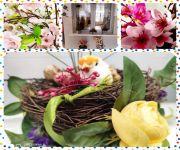 CollageMaker_20210301_115904593_Copy