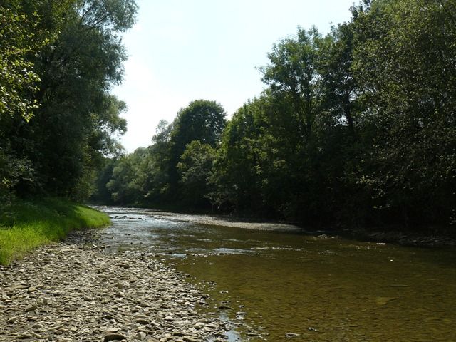 jasiolka okolice bobrki2