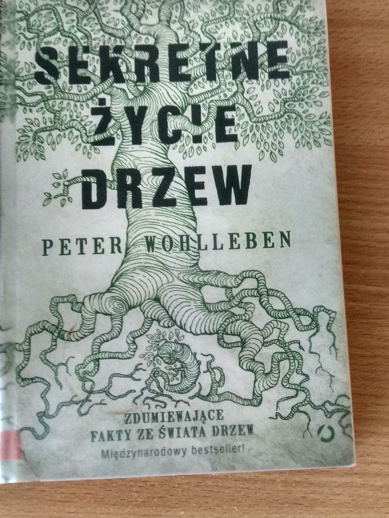 IMG 20180608 115350 HDR