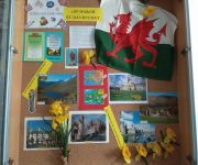 IMG_20190306_154746_Copy