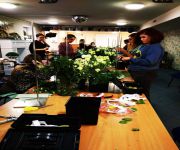 IMG_20200129_115214_Copy