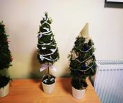 IMG_20200129_224218_Copy